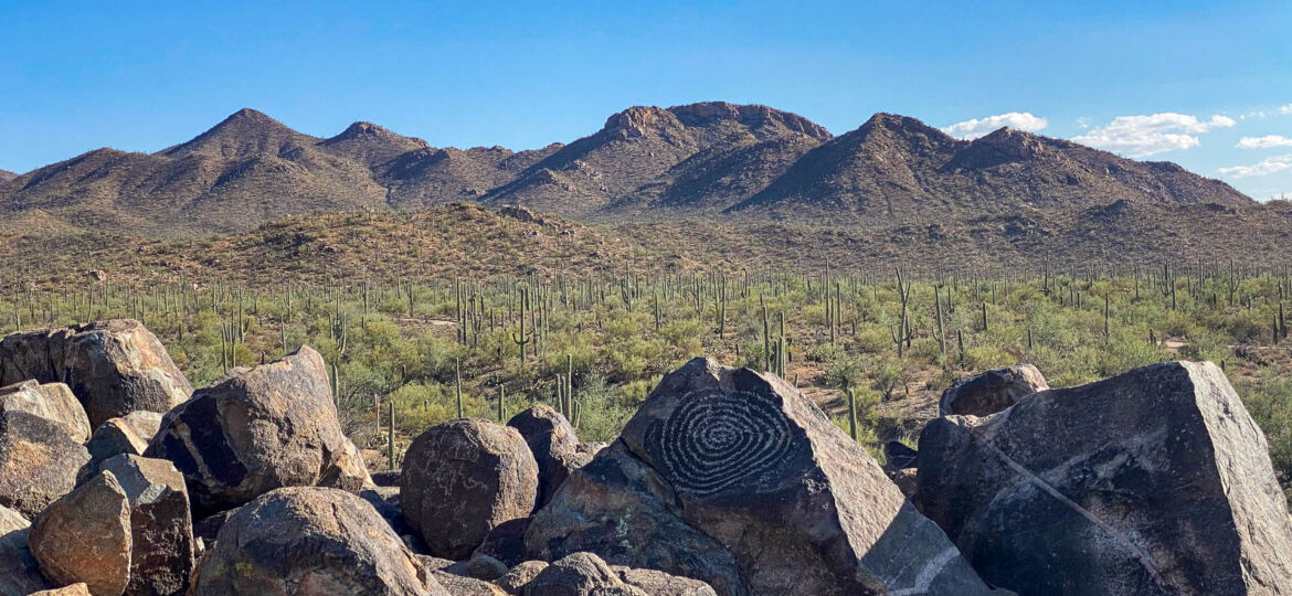 Saguaro National Park